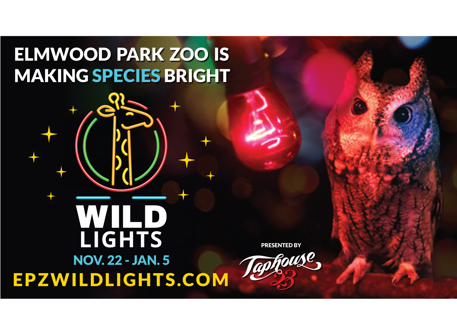 1500x1100wildlights4